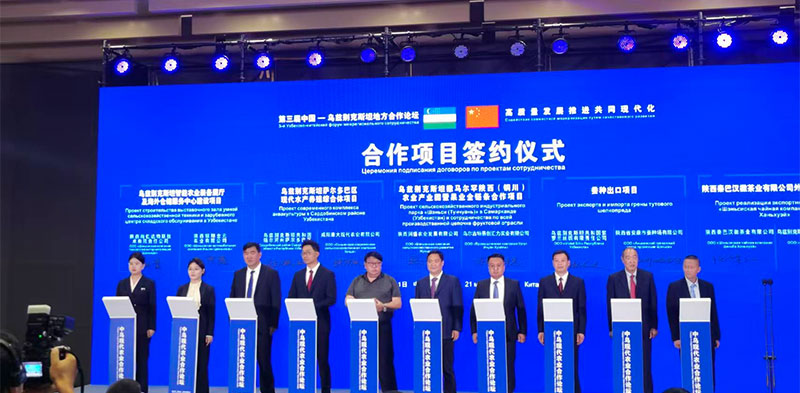 必一运动与乌兹别克斯坦签约蚕种订单12万张