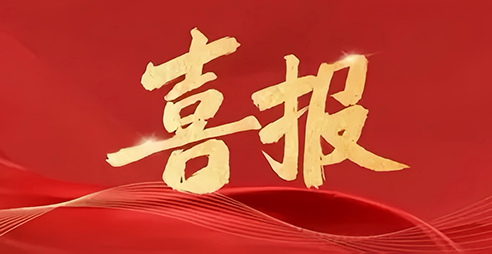 喜报！吴波被评为“陕西省优秀党务工作者”